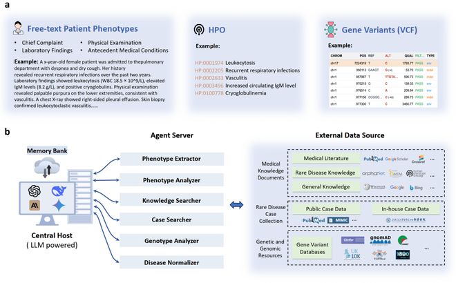 DeepRare发布首个可循证智能体诊断系统直击医学Last Exam难题(图2)
