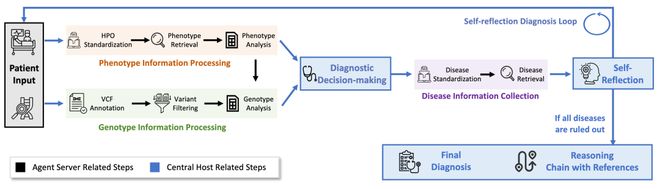 DeepRare发布首个可循证智能体诊断系统直击医学Last Exam难题(图3)
